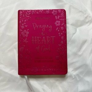 Praying the Heart of God: Connecting the Bible to Your Daily Prayers